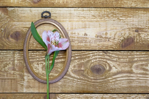 embroidery hoop with floral pattern